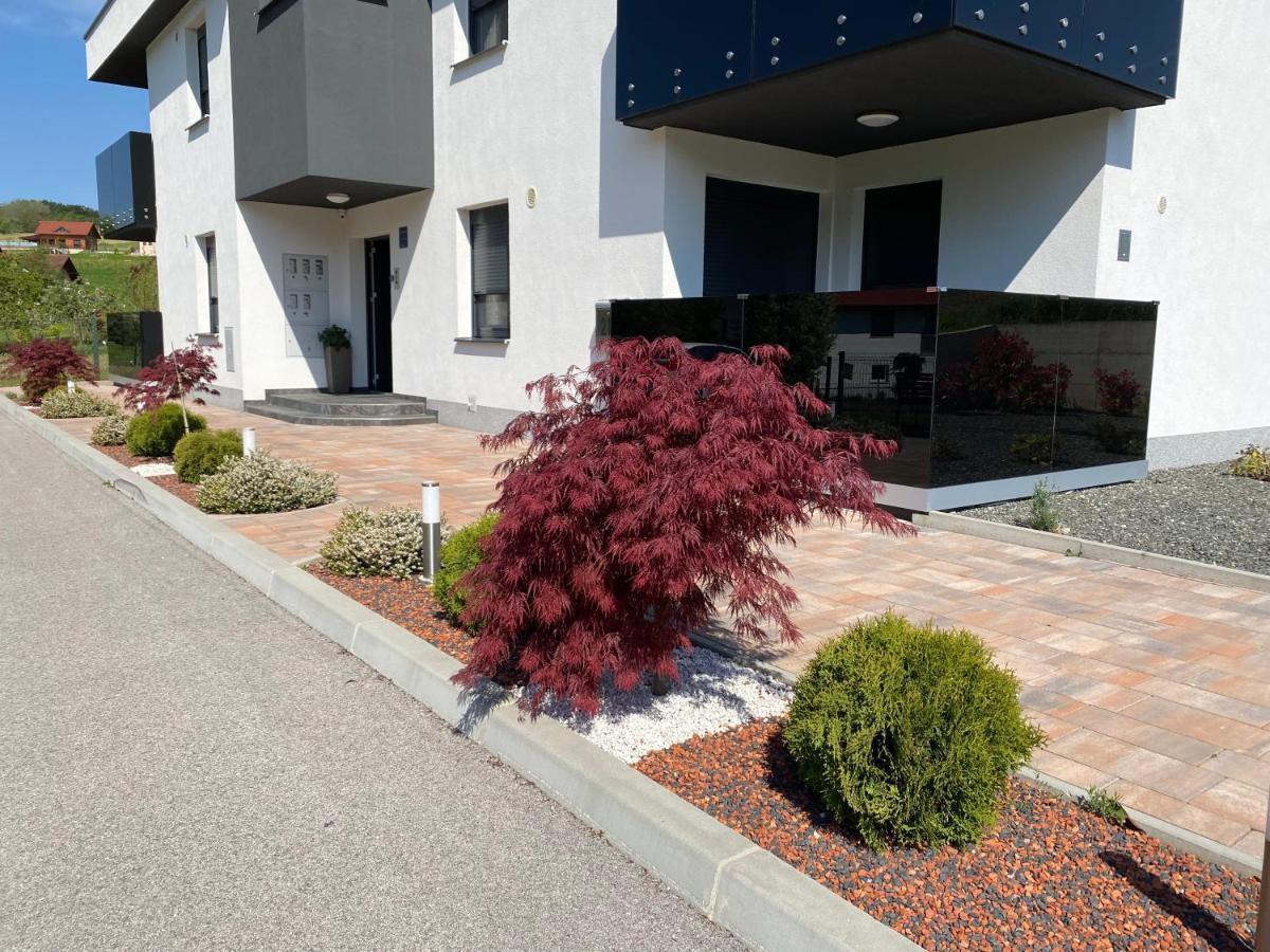 Apartments Dora 圣马丁娜穆里 外观 照片