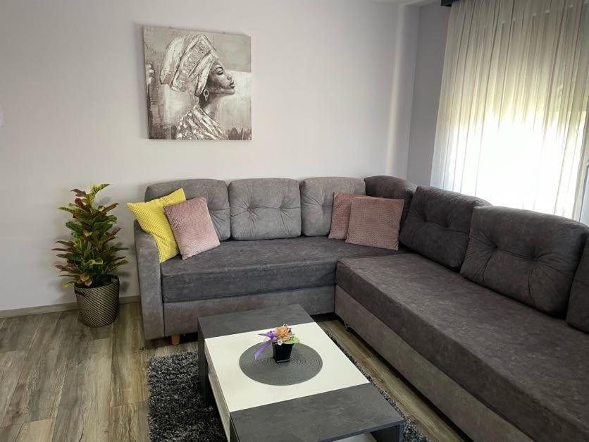 Apartments Dora 圣马丁娜穆里 外观 照片